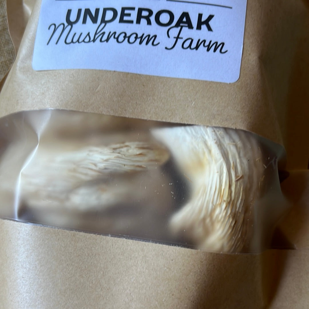 Dried Pathfinder Oyster Mushrooms / Pleurotus ostreatus