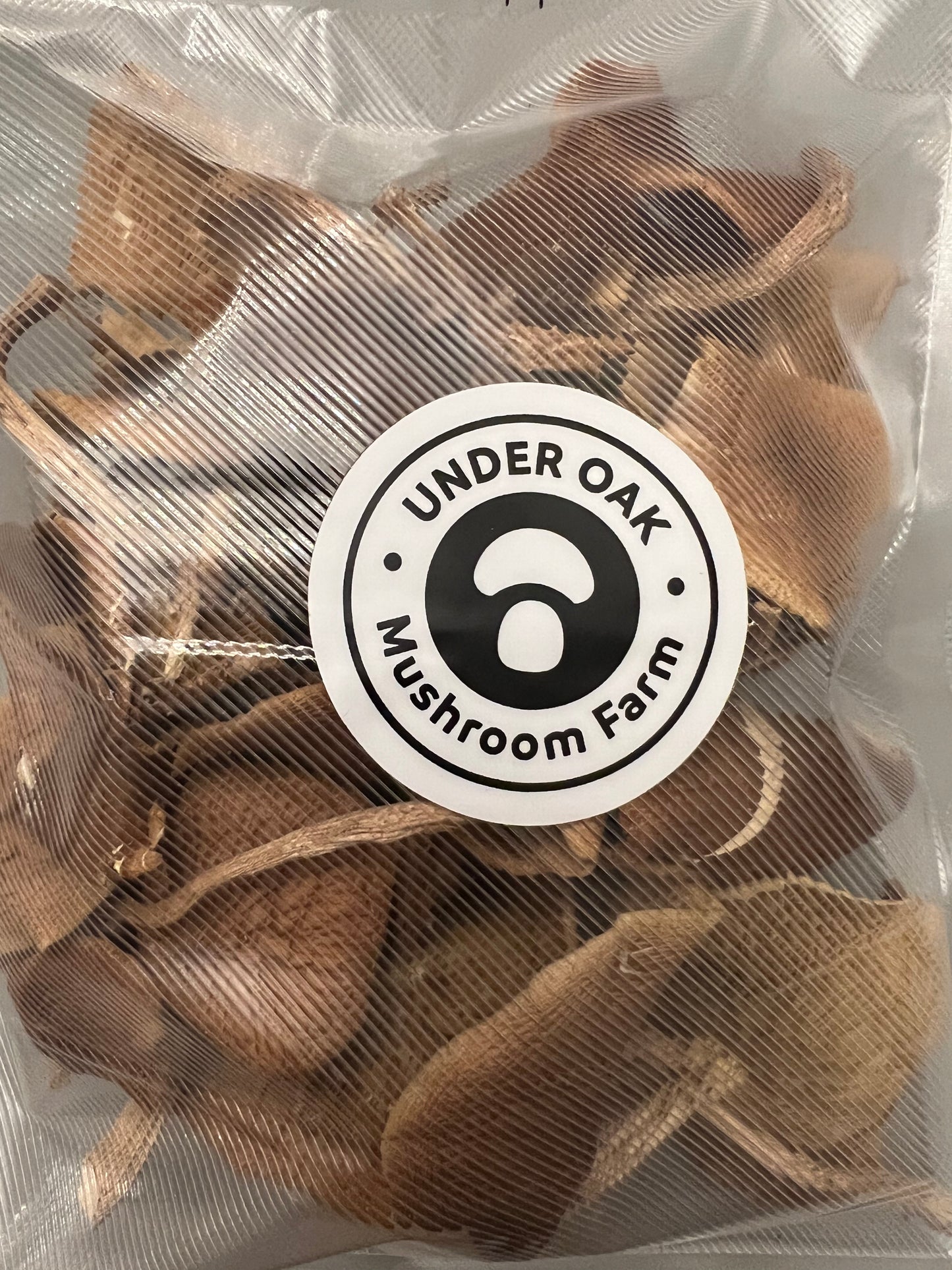 Dehydrated/Dried Assorted Gourmet Oyster Mushrooms Mix