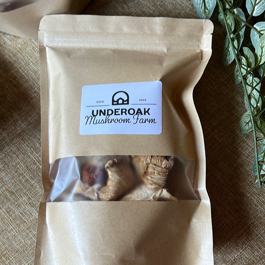 Dehydrated/Dried Assorted Gourmet Oyster Mushrooms Mix