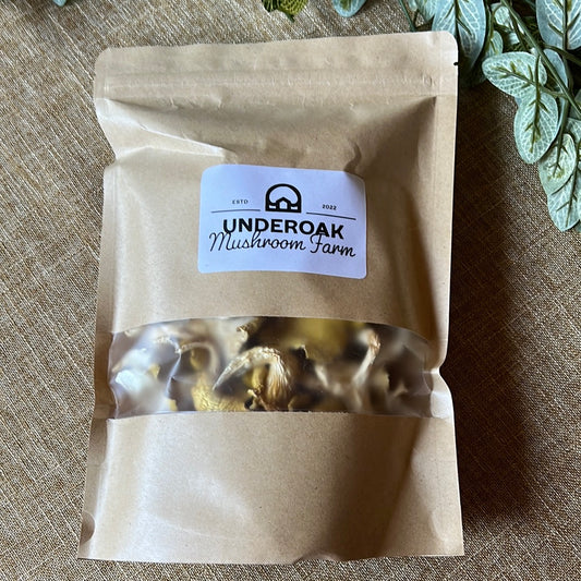 Dehydrated/Dried Golden (Yellow) Oyster Gourmet Mushrooms | Pleurotus citrinopileatus