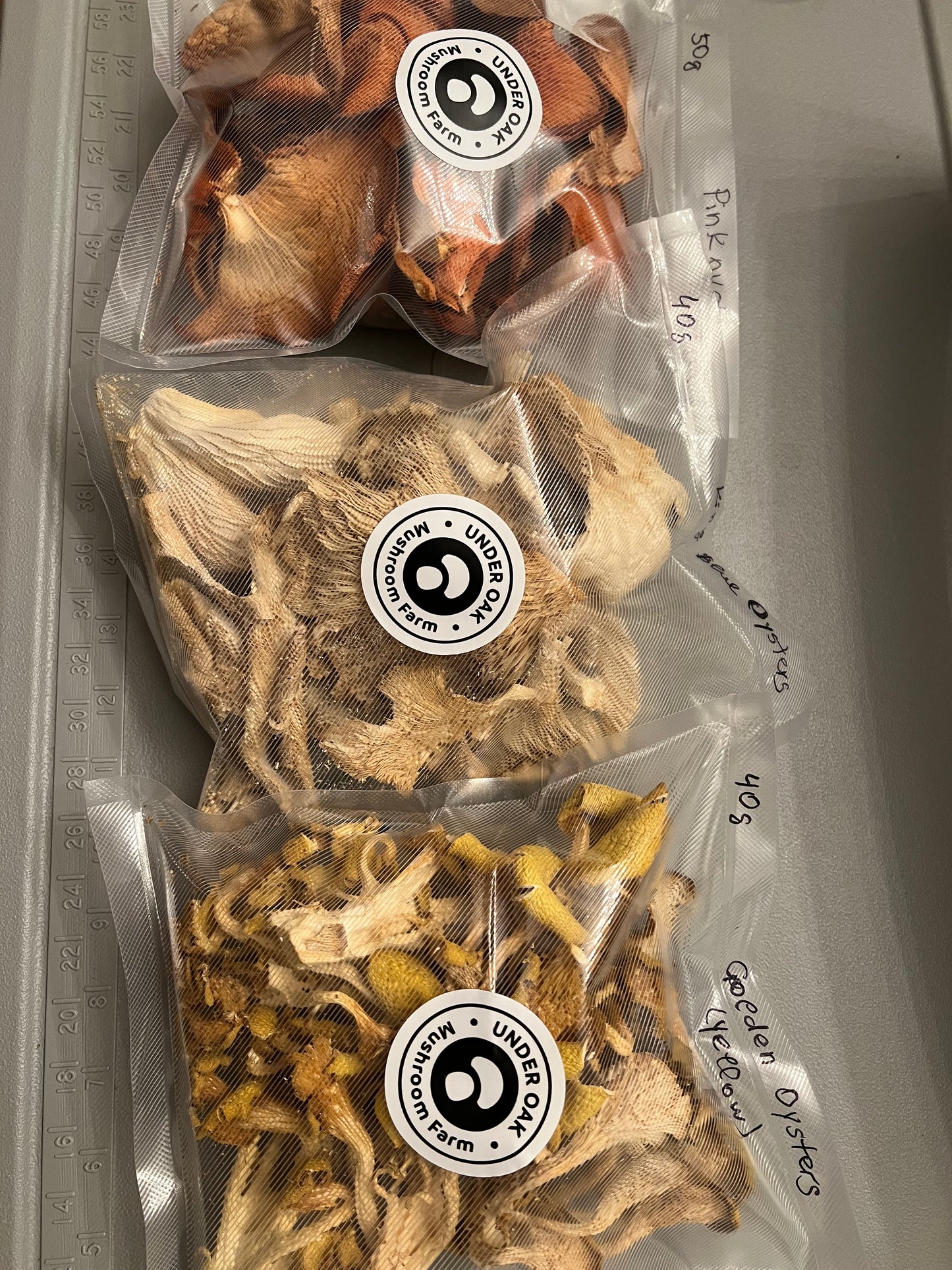 Dehydrated/Dried Golden (Yellow) Oyster Gourmet Mushrooms | Pleurotus citrinopileatus