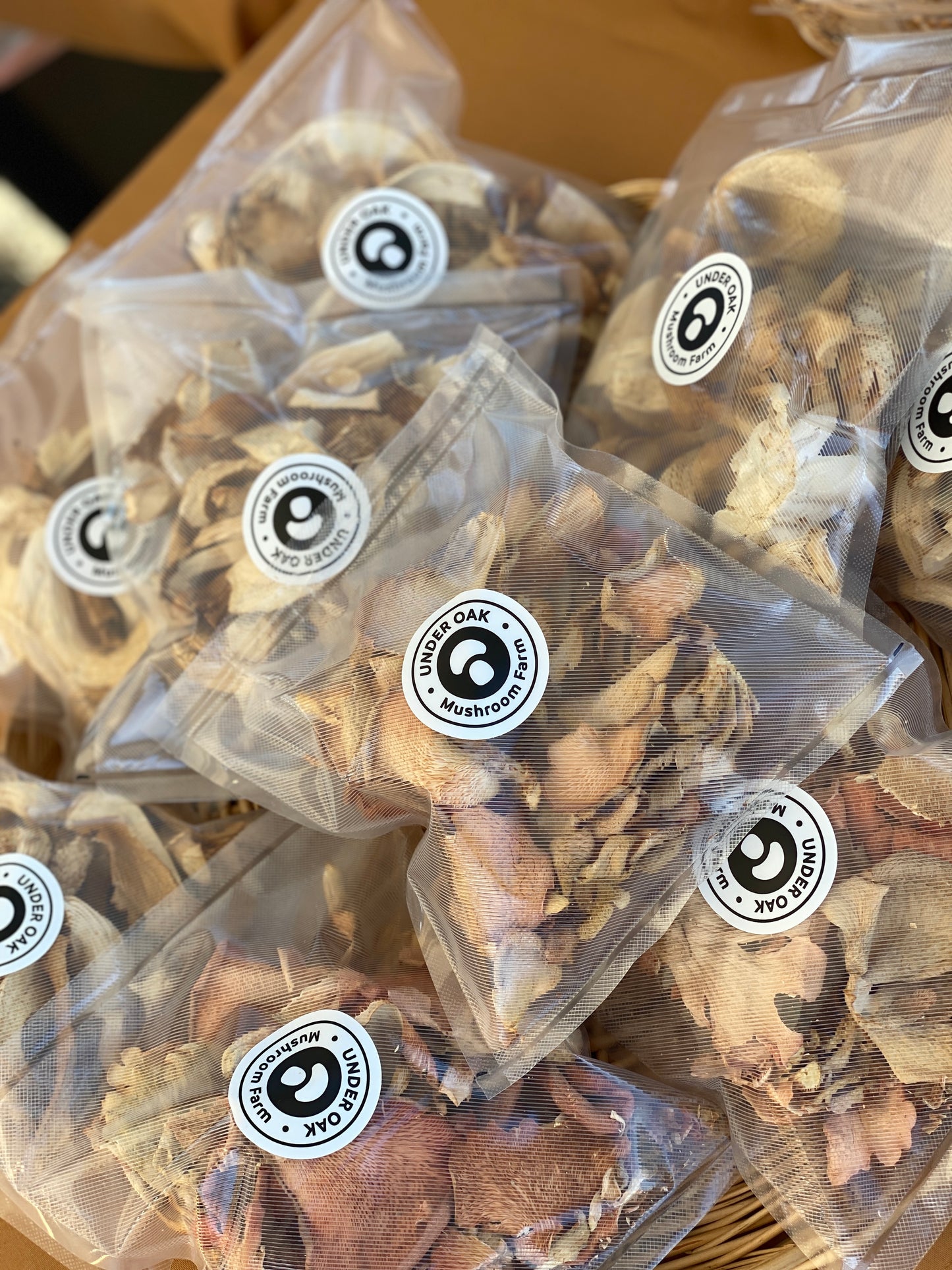 Dehydrated/Dried Assorted Gourmet Oyster Mushrooms Mix