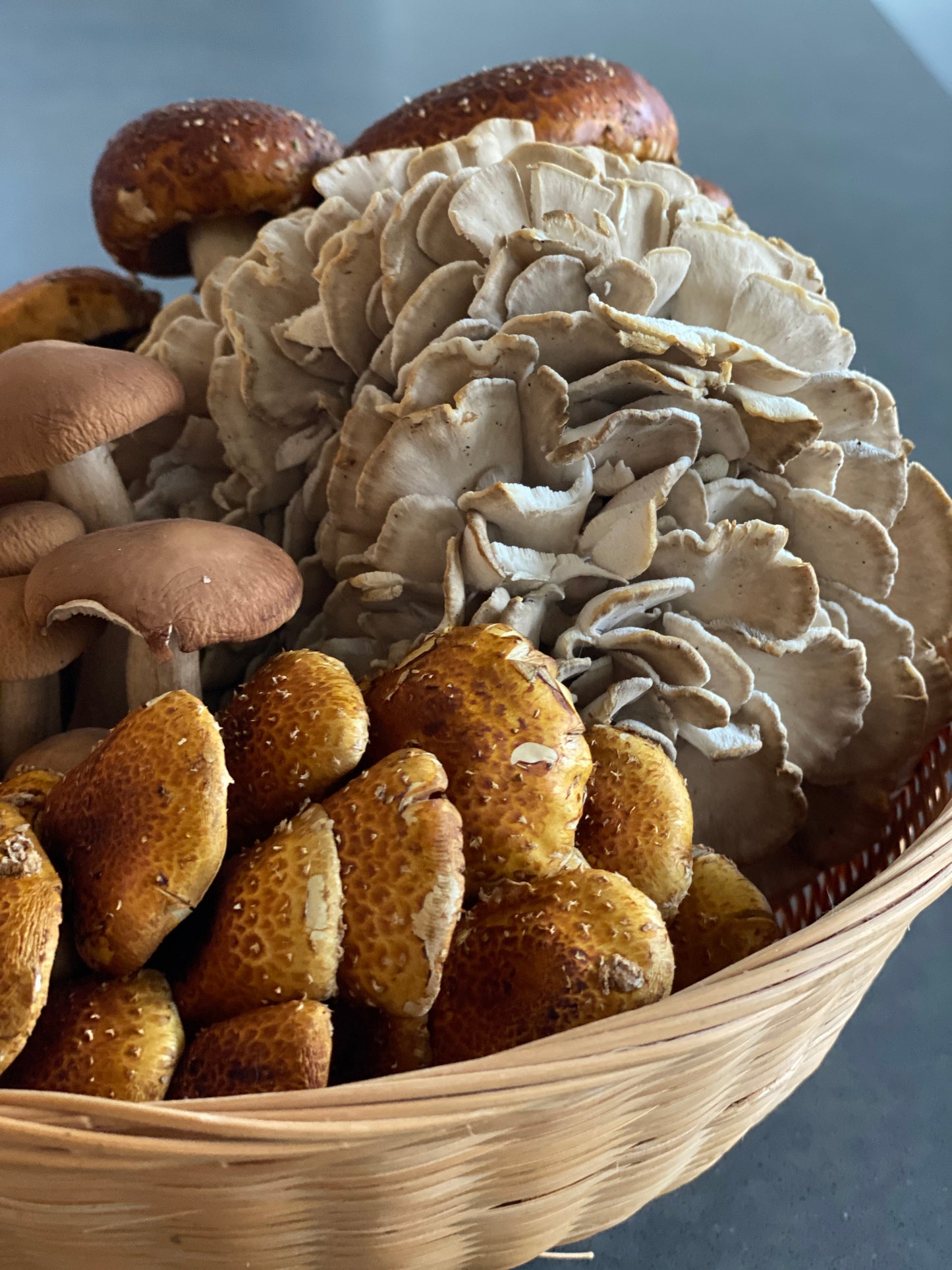 CSA Assorted Fresh Gourmet Mushrooms | Monthly Subscription Local Pickup NJ