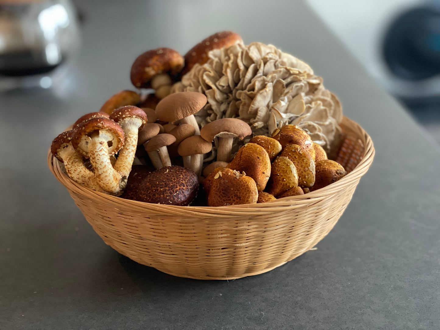 CSA Assorted Fresh Gourmet Mushrooms | Monthly Subscription Local Pickup NJ