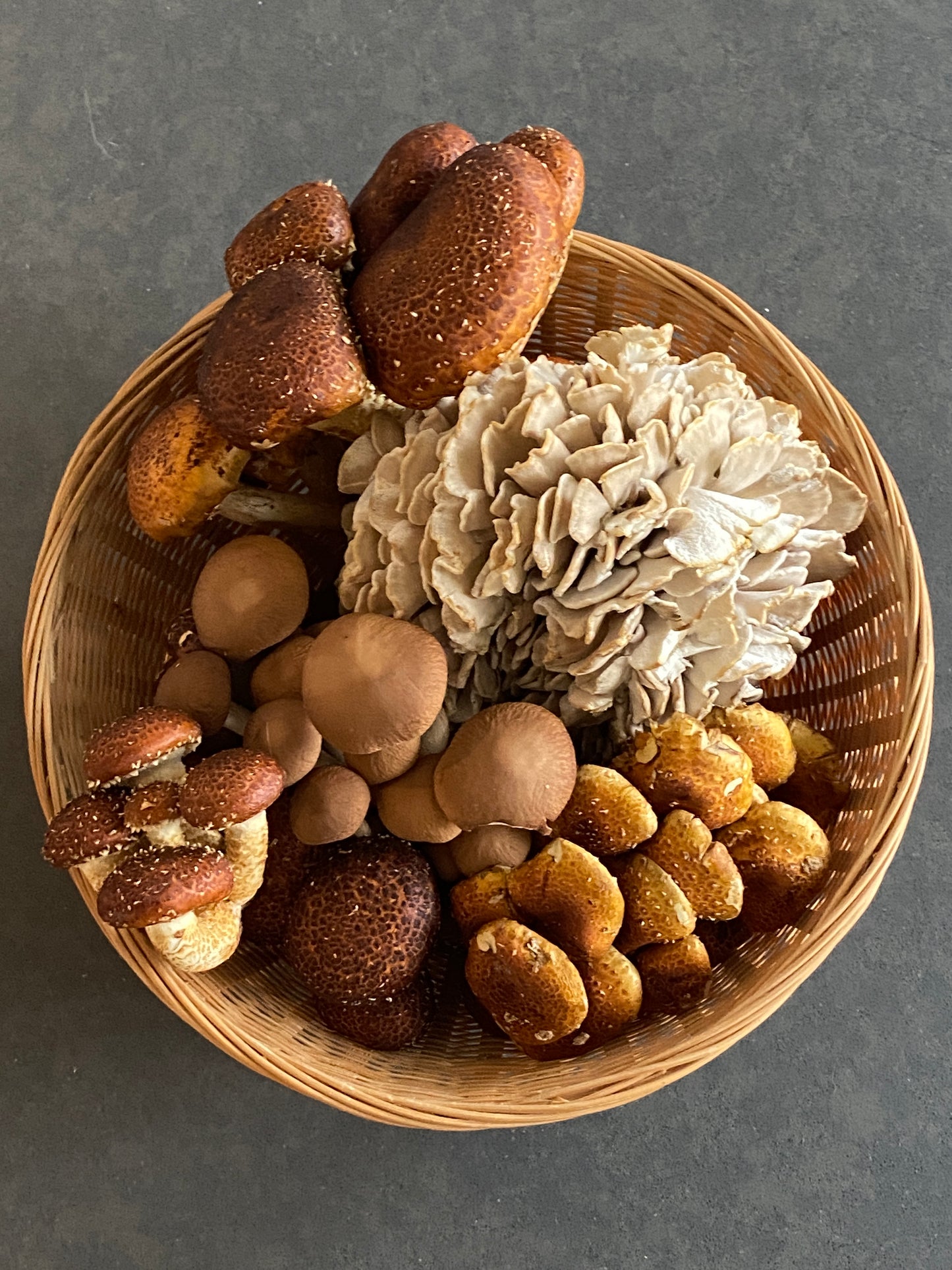 CSA Assorted Fresh Gourmet Mushrooms | Monthly Subscription Local Pickup NJ