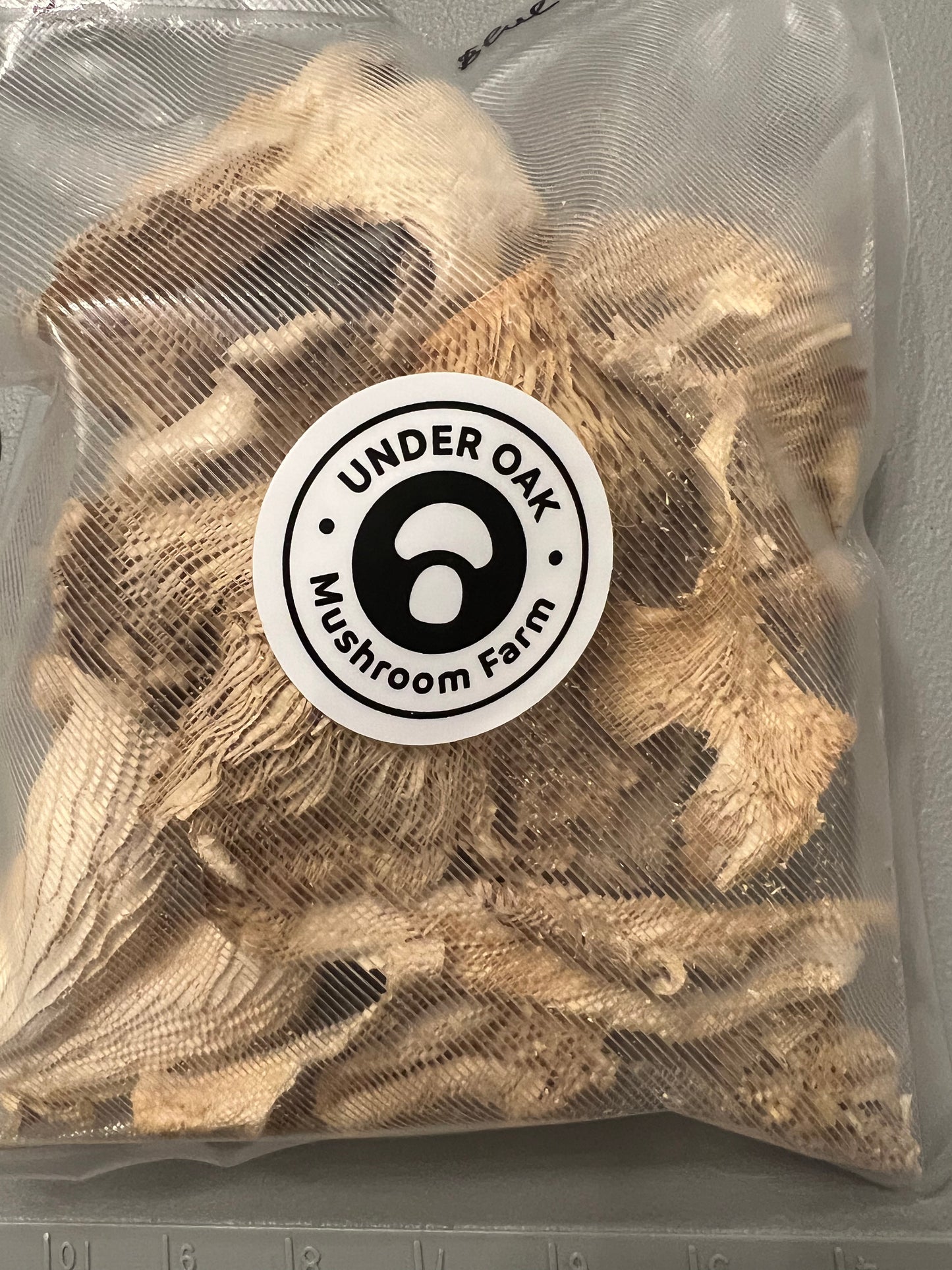 Dehydrated/Dried Blue Oyster Gourmet Mushrooms | Pleurotus ostreatus