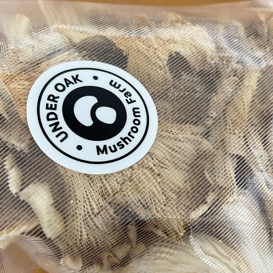 Dehydrated/Dried Blue Oyster Gourmet Mushrooms | Pleurotus ostreatus