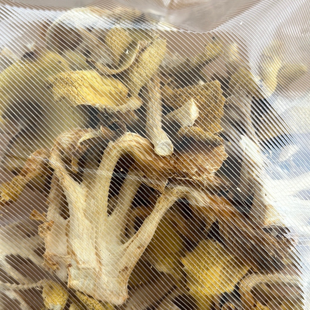 Dehydrated/Dried Golden (Yellow) Oyster Gourmet Mushrooms | Pleurotus citrinopileatus